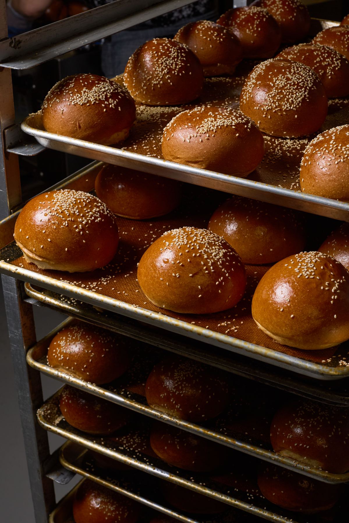 Close-up of freshly baked sesame seed buns