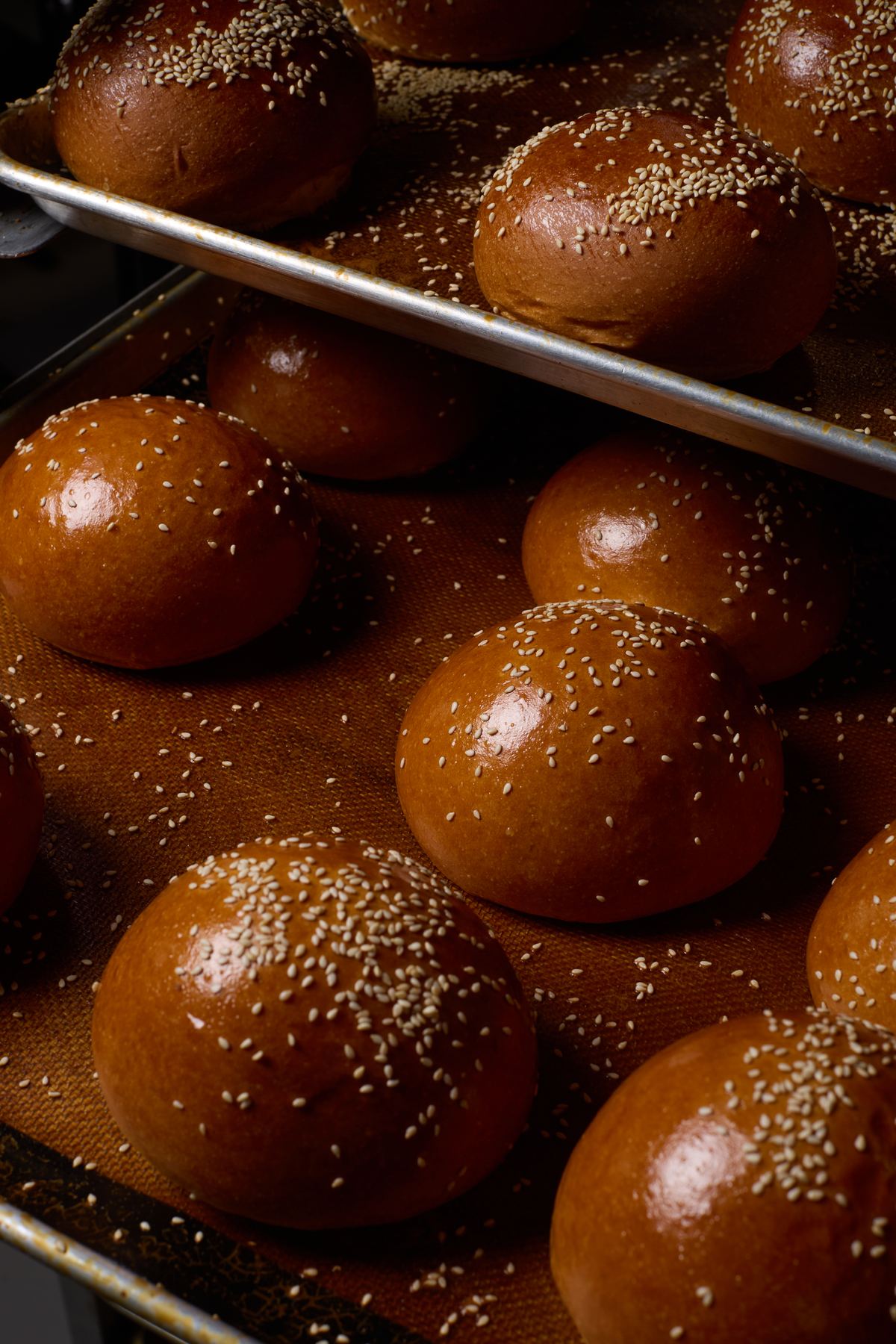 Close-up of freshly baked sesame seed buns on tray