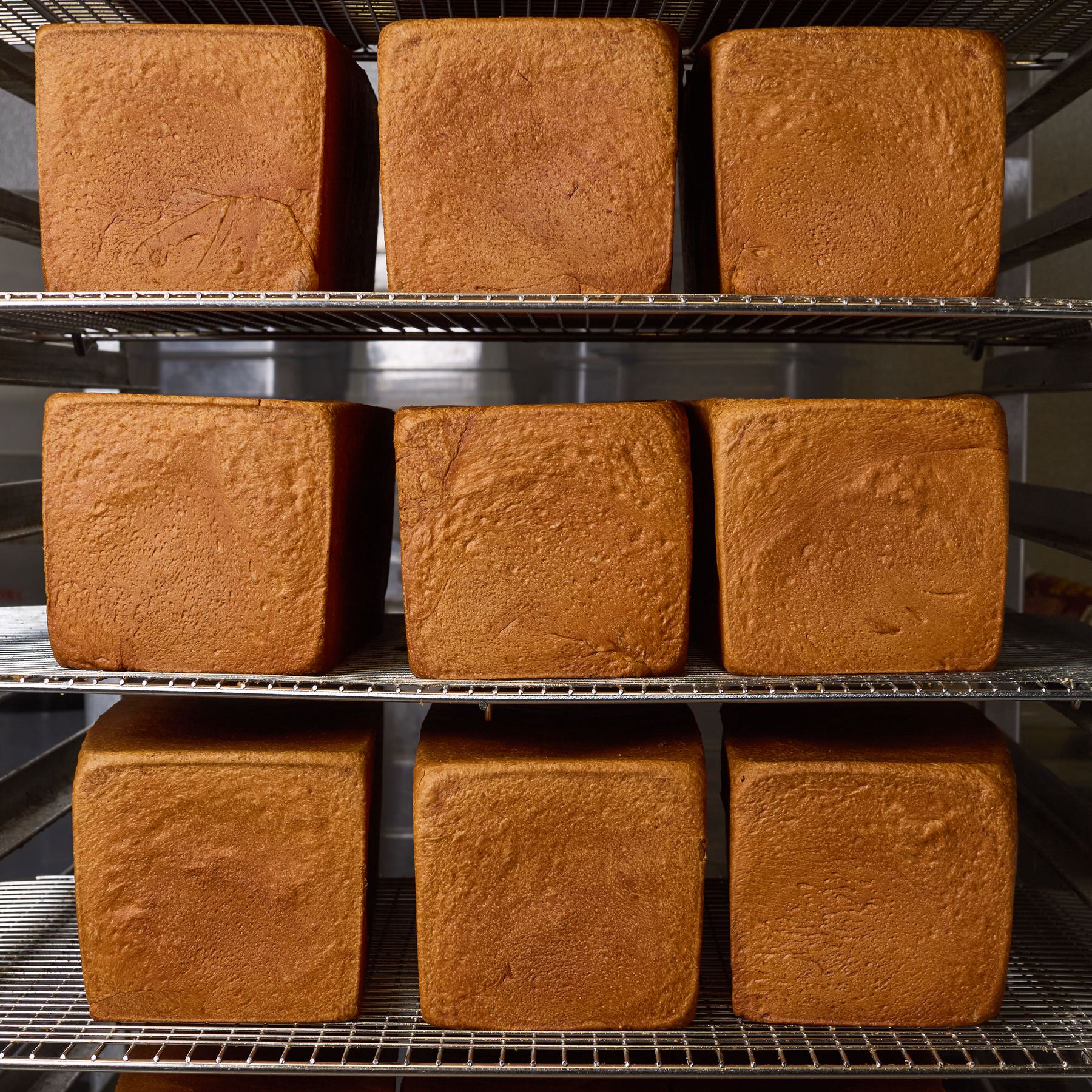 Fresh baked milk bread loaves cooling on bakery racks